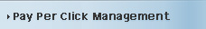 Pay Per Click Management